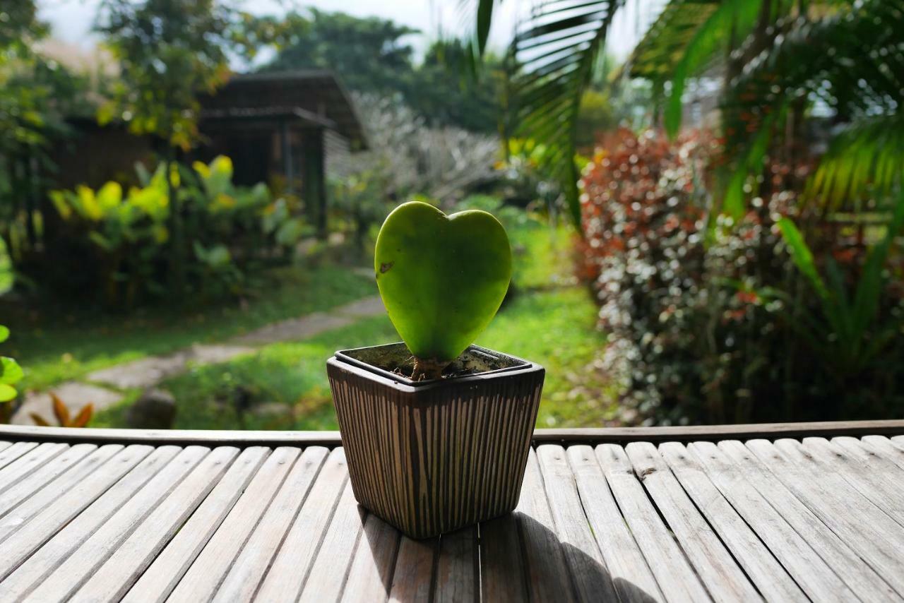 Love Pai Home 外观 照片