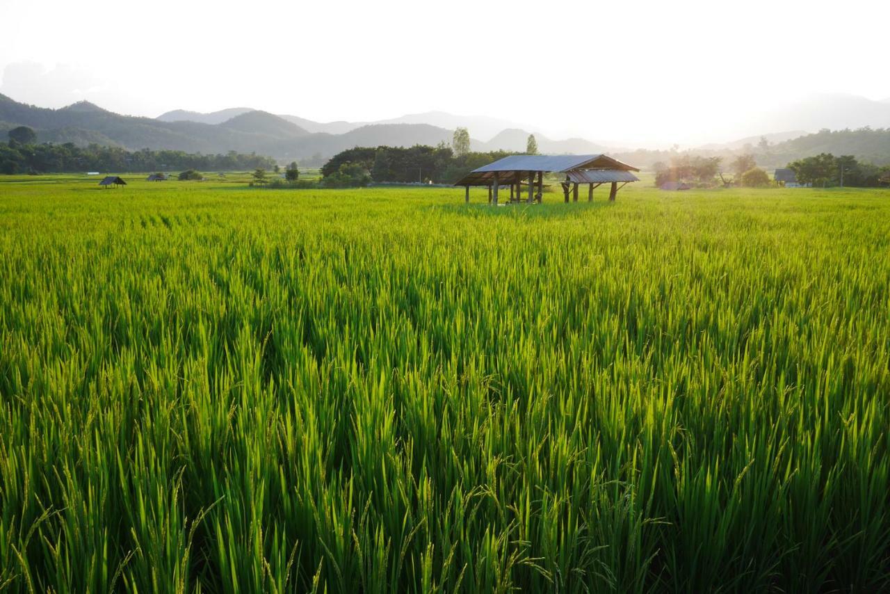 Love Pai Home 外观 照片